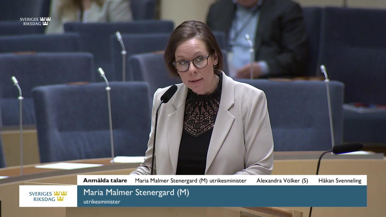 Stillbild från Interpellationsdebatt, De folkliga protesterna i Iran