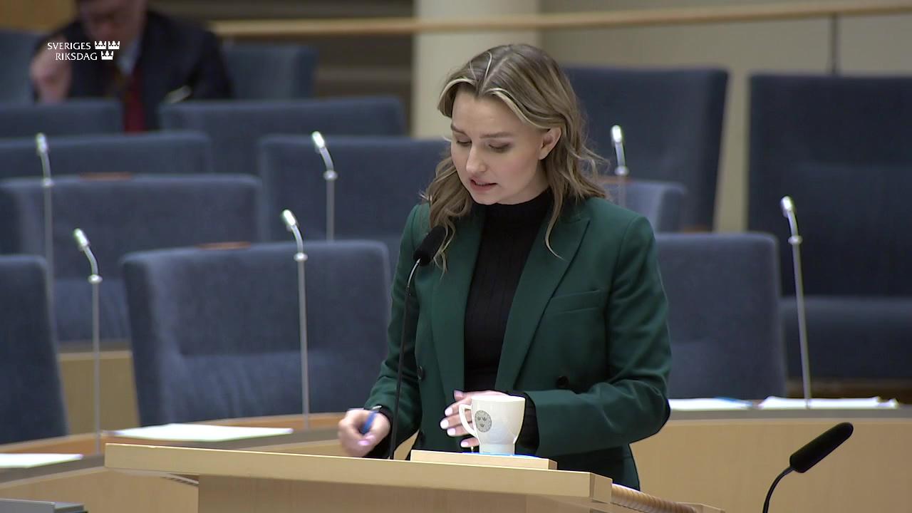 Stillbild från Interpellationsdebatt: Marknadsföringen av Sverige som besöksland