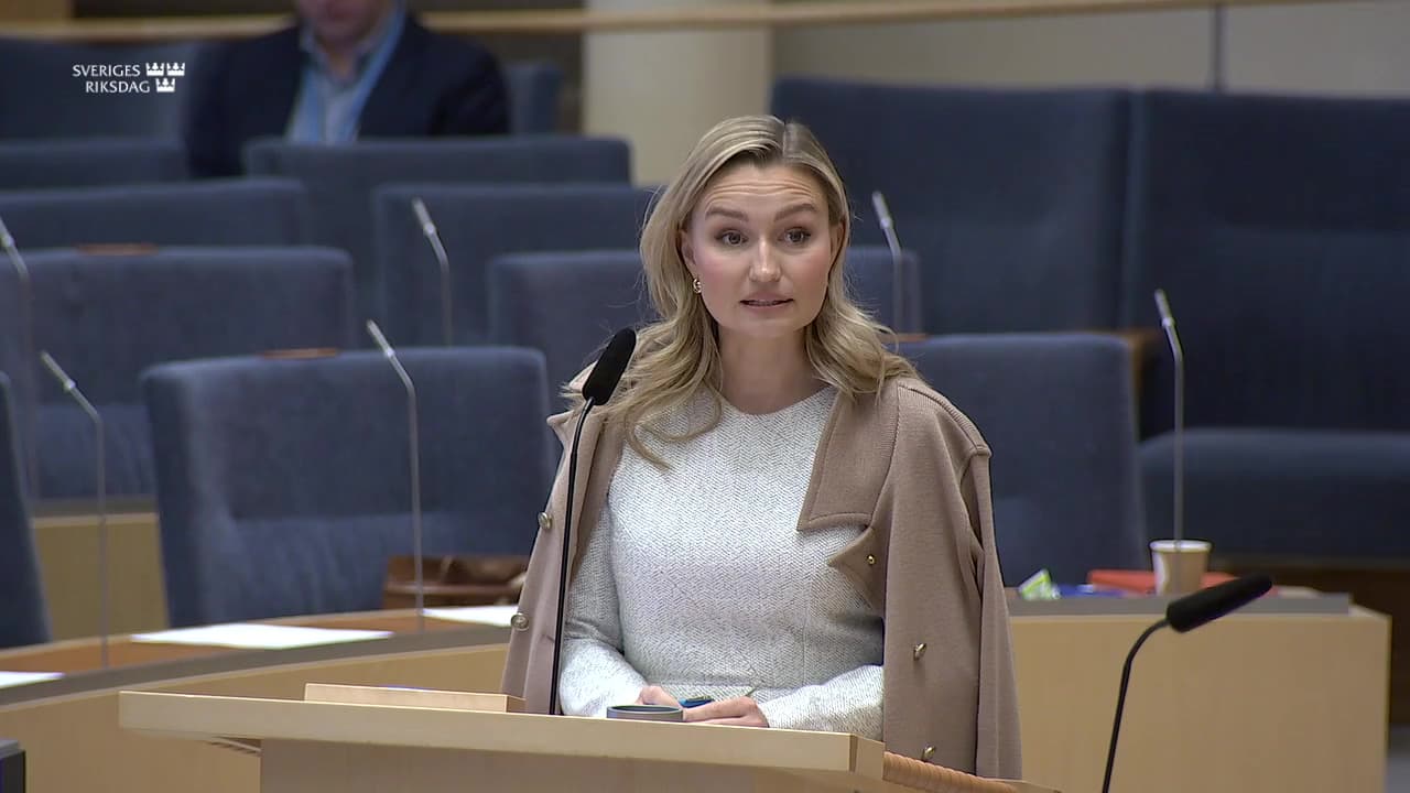 Stillbild från Interpellationsdebatt, Investeringar i elnät