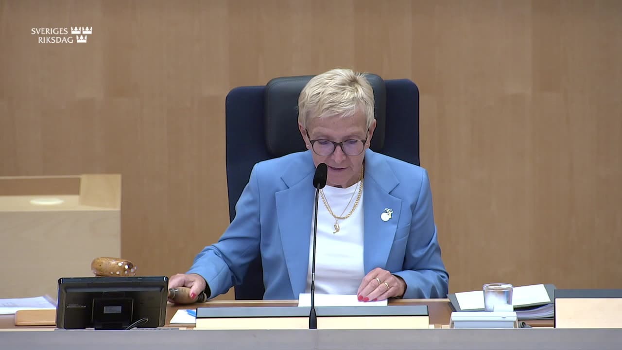 Stillbild från Övrigt kammaren, Beslut om antal ledamöter i utskott och EU-nämnd