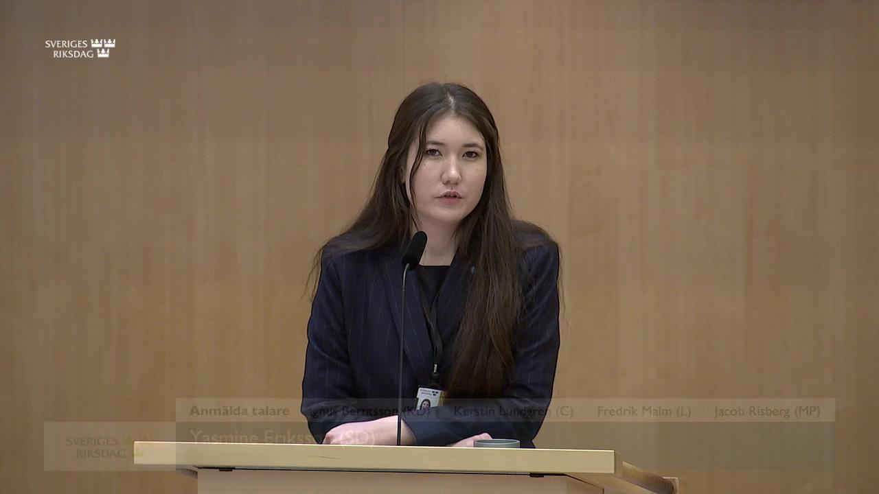 Stillbild från Debatt om förslag, FN i svensk utrikespolitik