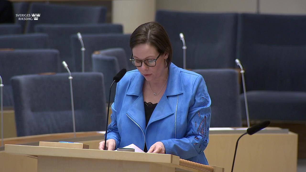 Stillbild från Interpellationsdebatt, Regeringens stöd till folkets resning mot regimen i Iran