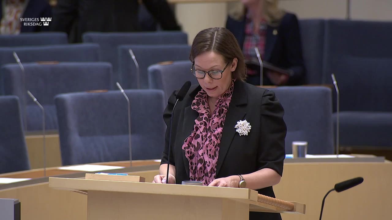 Stillbild från Interpellationsdebatt, Begreppet islamofobi